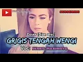 Download Lagu Rugi kalau ga nonton gaeess... GRIGIS TENGAH WENGI cover (Dian anic) Voc:Jenny Hasimoto