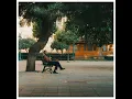 BİSKOLMAZ - Kamufle & A-Bacchus
