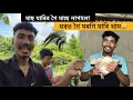 Download Lagu মাছ মাৰিব গৈ মাছ নাপাই ঘৰৰ মৰগি মাৰিলো😃