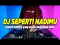 Download Lagu DJ SEPERTI NADIMU YANG SELALU DENYUTKAN SETIA TIKTOK ORANG YANG SAMA REMIX FULL BASS