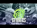 Cynners A Lesson In Professionalism 2 0