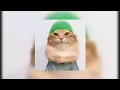 Download Lagu Tob tobi tob tob tobi tob /kucing Ramadan [ yang kalian cari Tiktok ]full vision