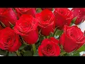Download Lagu Красивая музыка для души — нежные мелодии, от которых мурашки по телу 🌸