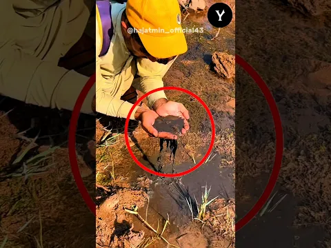 This guy Trying to drink water but the water was to Dirty (@hajatmin_official43/tt)