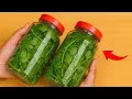 How To Store Cilantro For 1 Year Without Spoilage Clever Tricks