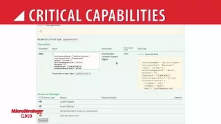 MicroStrategy API Enabled Operations
