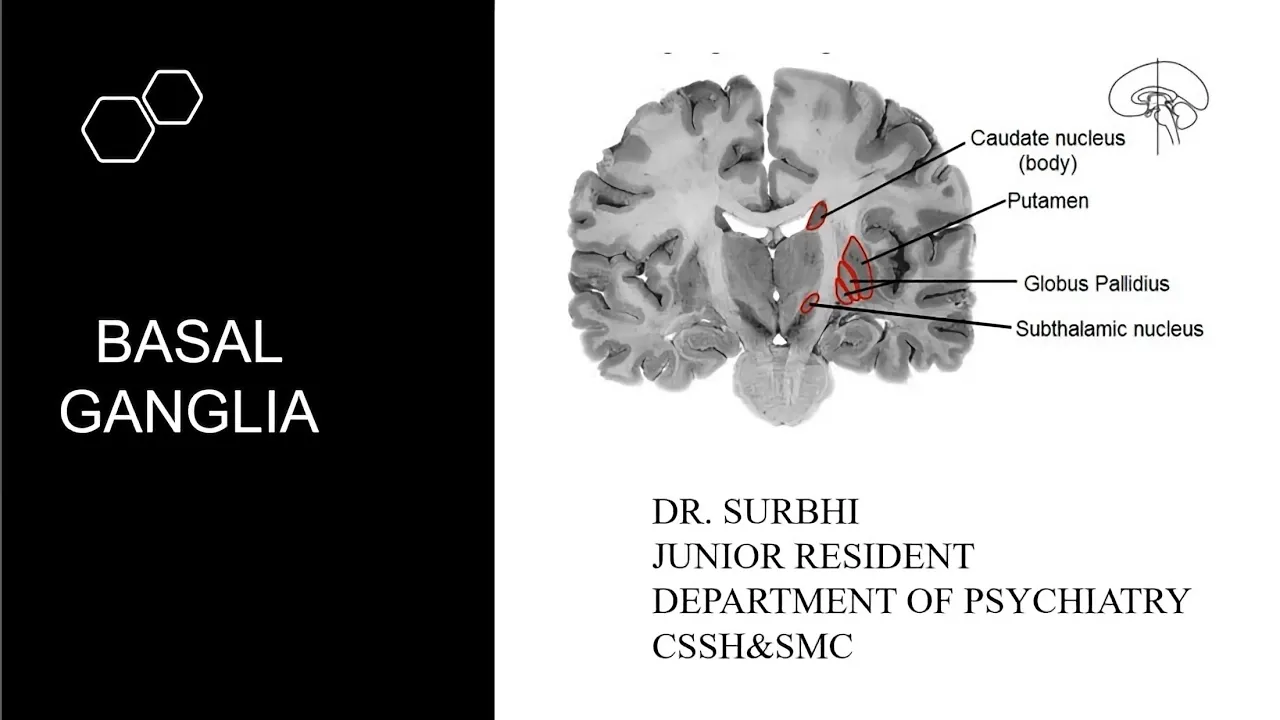(Seminar) - Neuro-Psychiatric aspect of BASAL GANGLIA: Dr Surabhi