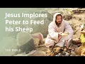 John 21 Jesus Christ Implores Peter to Feed My Sheep The Bible