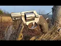 Taurus 605 A Long Term Review
