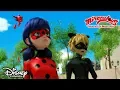 Download Lagu 👿 Buburuza vs. forțele maleficel | Miraculous: Buburuza și Motan Noir | Disney Channel România
