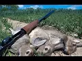 Georgia Rabbit Hunting with Beagles - 7 Killed
