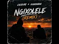 Ngixolele (Remix)