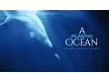 Video di A Plastic Ocean Official Trailer