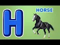 ABC Animals Phonics Song - A to Z Jungle Theme Alphabet