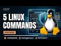 5 Linux Commands Every Windows User Should Learn Before Switching