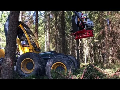 Nisula 555H harvester head with Ecolog 560E