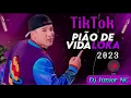 Lagu Japãozin - Pião de Vida Loka - TikTok 2023 ( Dj Júnior NC)