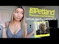 Confessions of a Petland Employee