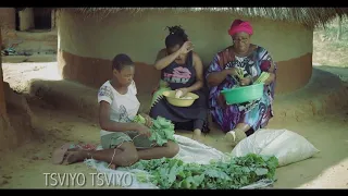 batsirai shasha ft diana samukange tsviyo tsviyo official video naxo films 2019