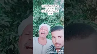 ابو مظهر موال الراجل العال زيدو كمال 