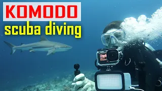 E223 – Not for Beginners, Komodo’s Stunning Reefs & Dangerous Currents