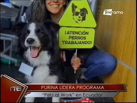 Purina lidera programa Pets at Work en Ecuador
