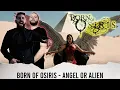 Download Lagu METALCORE BAND REACTS - BORN OF OSIRIS - \