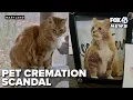 Catonsville pet cremation scandal couple charged with theft and fraud