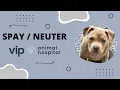 VIP Animal Hospital