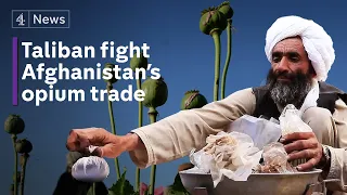 Download Taliban's drug trade problem: the reality of Afghanistan's opium addiction MP3