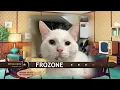 Pet Connect - November 10 2023