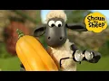 Download Lagu Autumn Harvest🐑 Shaun the Sheep 🐑  - Cartoons for Kids 🐑 Full Episodes Compilation [1 hour]
