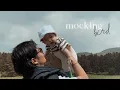 Download Lagu Kim Taehyung - Mockingbird [ FMV ]