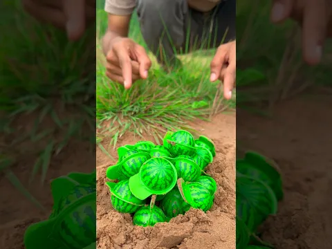 The guy show AMAZING Smart and Useful in Forest #bushcraft #survival #Outdoors #skills