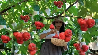 Enjoy beautiful nature with rural life 414# MP Fresh #fruit #countrylife #farming #freshvegetables