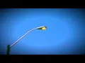 TMBG- Apophenia (Unofficial Video)