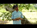 Download Lagu Police Report