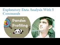 5 2 1 Exploratory Data Analysis With 5 Commands Only Pandas-Profiling