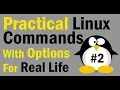 Linux Commands for Real Life with Examples