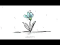 [MV] CNBLUE (씨엔블루) _ Still, a Flower (그러나 꽃이었다) (LYRIC VIDEO)