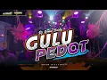 Lagu DJ GULU PEDOT Party Karnaval Sound Horeg FYP TikTok | IRPAN DISCJOKEY | WSB OFFICIAL
