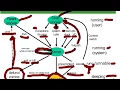 11 Linux CPU Scheduling Lecture