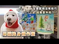 『用貓狗身體作畫』全是感情沒有技巧，結果意外的...?(薩摩耶多比Dobby is free)