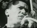 7Horse - Meth Lab Zoso Sticker - OFFICIAL VIDEO