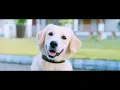 Download Lagu Valatty | November 07 | DisneyPlusHotstar