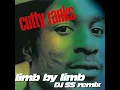Limb by Limb (DJ SS Remix)