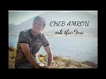 CHEB AMROU mli tfar9na  شاب عمرو ملي تفارقنا