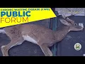 CWD Forum