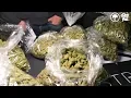 L A Black Market - The Dopest Vlog