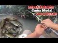 Lagu DIJAMIN GACOR!! RACIKAN UMPAN SIMPEL UNTUK MANCING WADER!! 